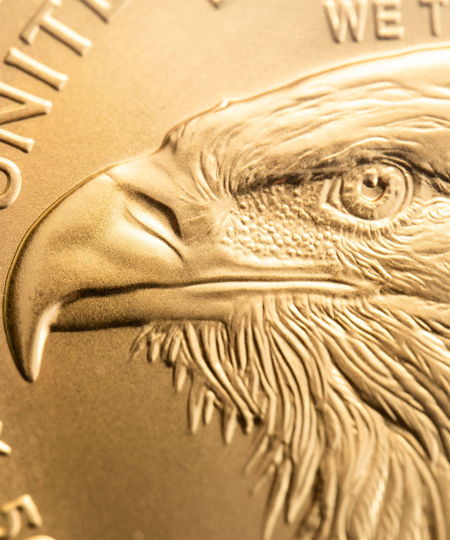 American Eagle Reverse